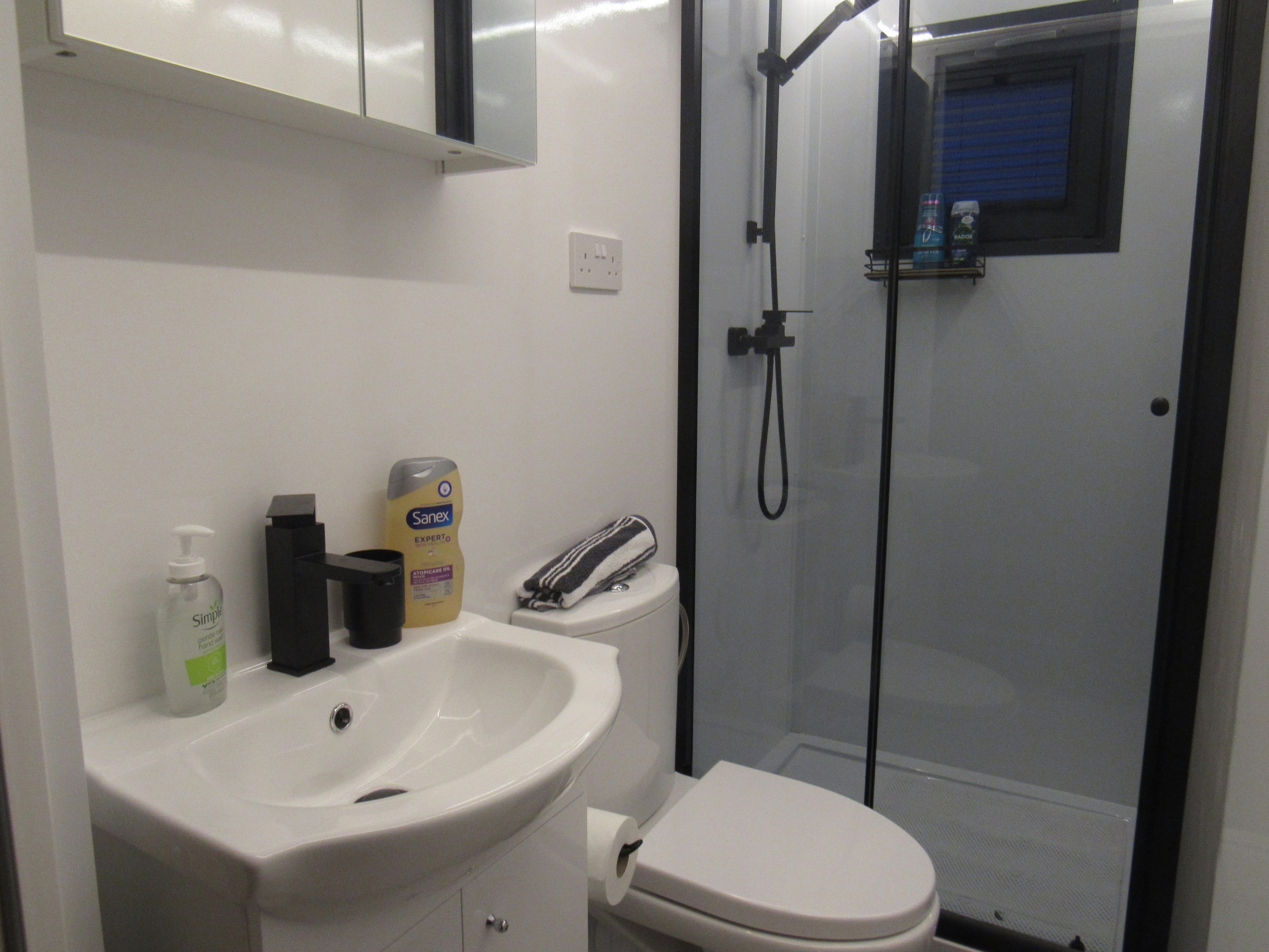 Modern bathroom with sink, toilet, glass shower enclosure and mirrored cabinet